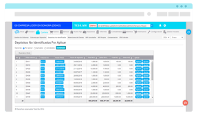 Sistema contable para registro y administracion de cartera